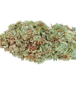 Highly Dutch - Amsterdam Sativa