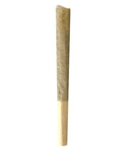 MTL Cannabis - Gas N' Up Pre-Rolls