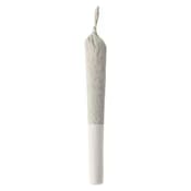 Jolly Boys - Royal Sherb Pre-Rolls
