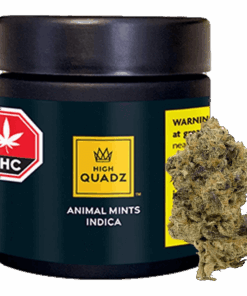 High Quadz - Animal Mints