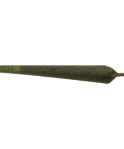 Space Race - Starship Pre-Rolls