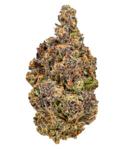 Cheers Cannabis - Alien Kush