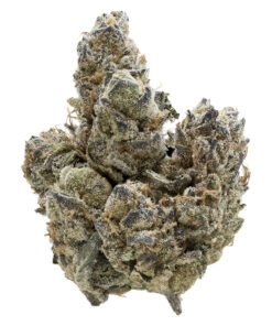 Nugz - Florida Oranges