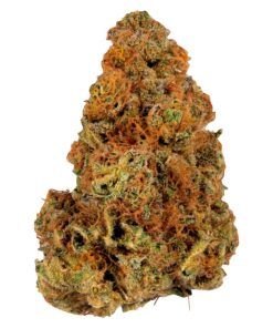 Ripped - Ripped Rotational Indica