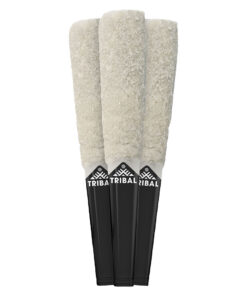 Tribal - Infused Pre-Rolls