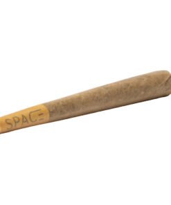 Space Race - Saturn V Pre-Rolls