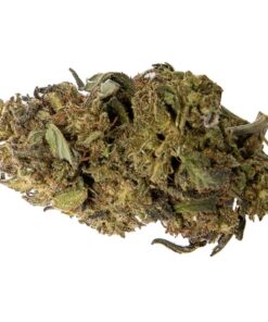 WholeHemp - Premium CBD