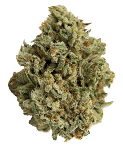 Partake - Orange Squeeze Pre-Rolls