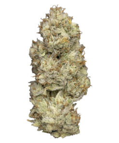 Nugz - Wagyu Delight