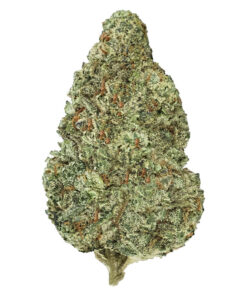 Back Forty - Chemzilla