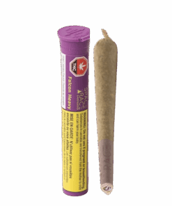 Space Race - Falcon Heavy Pre-Rolls