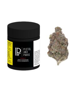 Pistol and Paris - Diablo
