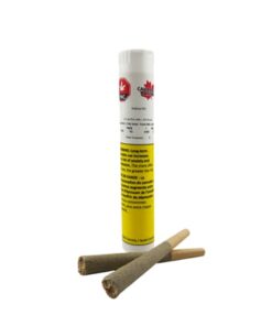 Canadian Cannabis - Indica Eh! Pre-Rolls
