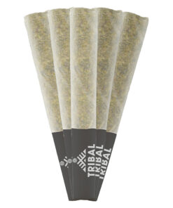 Tribal - Porto Leche Pre-Rolls