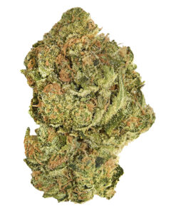 Good Supply - Brand New Buds Dried Flower
