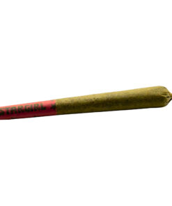 Space Race - Stargirl Pre-Rolls