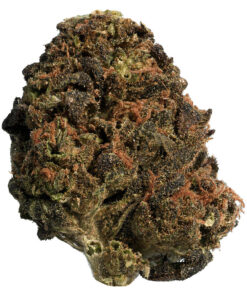 Thrifty - BC Organic Sun Grown Mango Sapphire