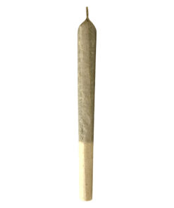 MTL - Jungl' Cake Pre-Rolls