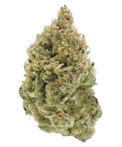 Simply Bare - BC Organic Fruit Loopz