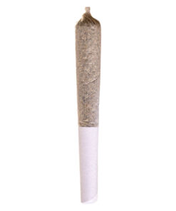 Station House - OG Kush Pre-Rolls