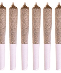 Station House - White Widow Pre-Rolls