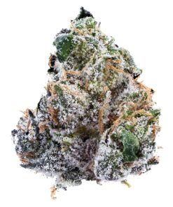 Nugz - Guava Jam