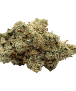 Seaweed Cannabis - Animal Junky Craft