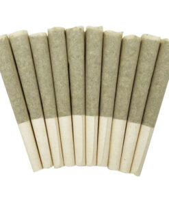 Skosha - Storm Pre-Rolls
